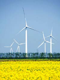 聯(lián)合國(guó)：綠色能源開發(fā)將新增2千萬(wàn)就業(yè)機(jī)會(huì)