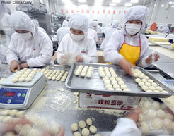 世博會“食品安全措施”相關(guān)表達(dá)