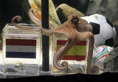 世界杯“預(yù)測帝”章魚保羅去世