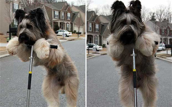 2011年奇聞軼事回顧