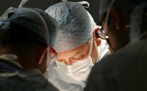 澳鼓勵器官捐贈 在職捐贈者將獲現金補償