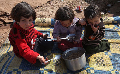 敘利亞宗教領(lǐng)袖準許人民吃貓狗來充饑