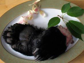 舌尖上的犯罪:吃“珍禽野味”將被刑責(zé)