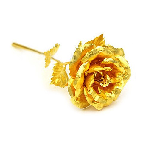 點(diǎn)擊查看源網(wǎng)頁 10款最別出心裁的情人節(jié)禮物