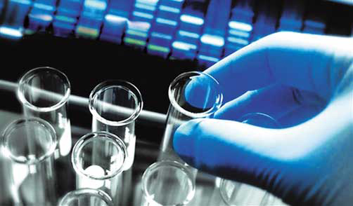 深圳現(xiàn)“寄血驗子”灰色產(chǎn)業(yè)鏈