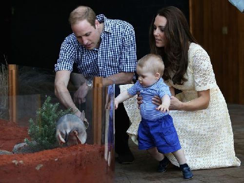 威廉夫婦公布喬治小王子圣誕照(組圖)