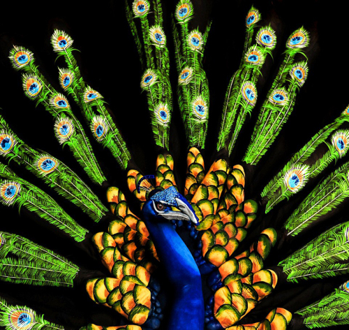 英藝術(shù)家創(chuàng)作人體彩繪 以鳥(niǎo)喻人栩栩如生