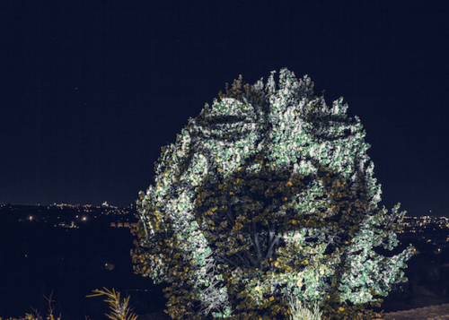 法驚現人臉燈光投影 巖石樹木皆成藝術品