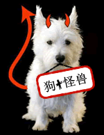 趣味翻譯：沒有自行車的魚？