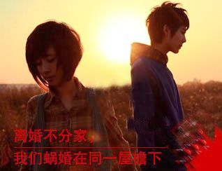 “蝸婚”英文怎么表達(dá)