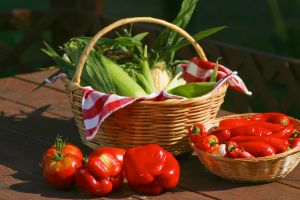 自產(chǎn)綠色食品 100-foot diet