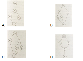 2012高考英語真題及答案(北京卷)