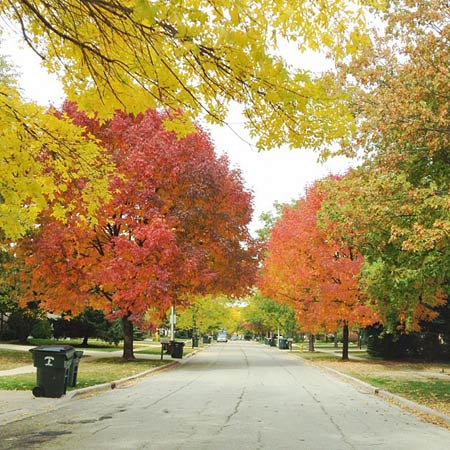 你熟悉你的“上班街區(qū)”嗎?