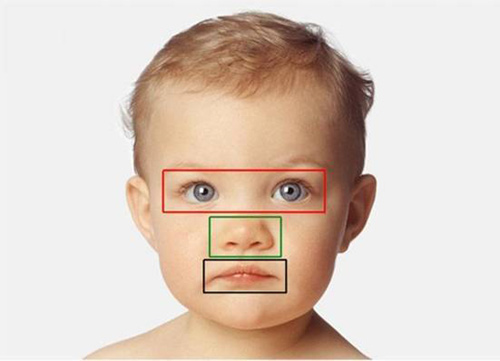 “可愛回應(yīng)”不只屬于成年人！