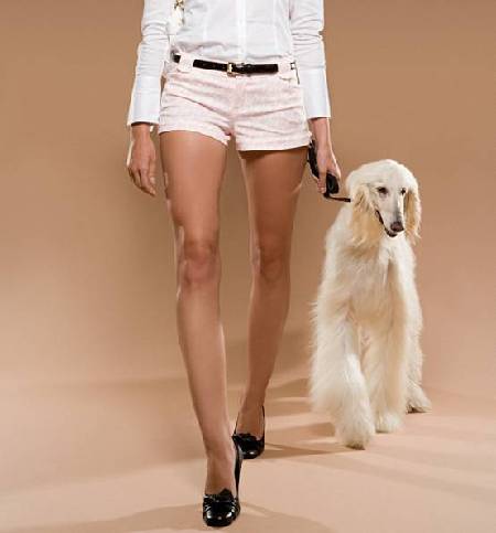 你也想要個“寵物男”？