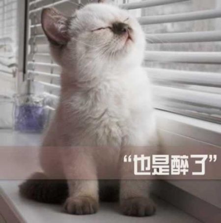 2014網(wǎng)絡(luò)流行語(yǔ)大盤(pán)點(diǎn) 且行且珍惜