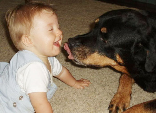 Sweet! When kids meet animals