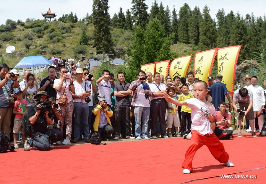 Martial arts festival held in NW China