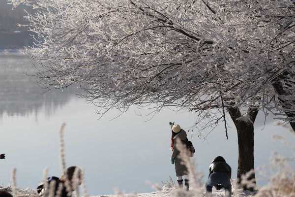 Tourists flock to a spectacular sight in Jilin
