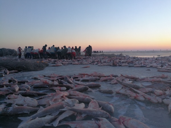 Traditional winter fishing on Chagan Lake
