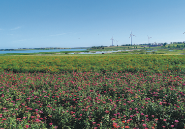 Jilin province takes advantage of its liquid assets to stop drought