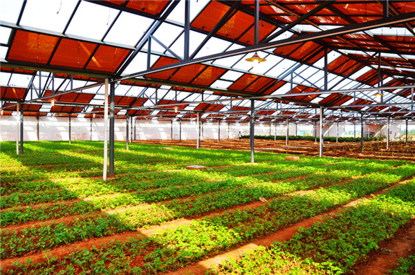 1478848787358044891.jpg 內(nèi)蒙古能源