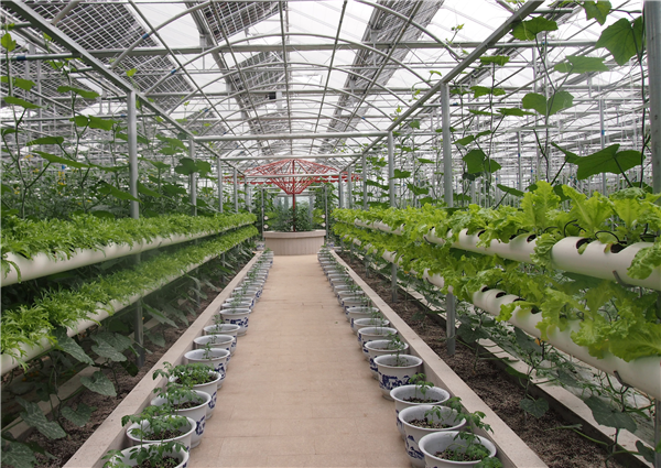 1479469475362065964.bmp Energy