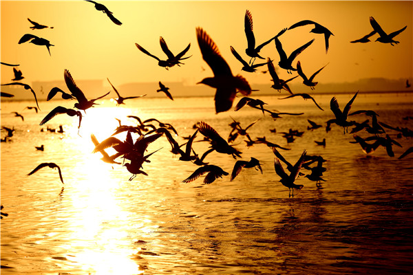 1478765254204075792.jpg Sights