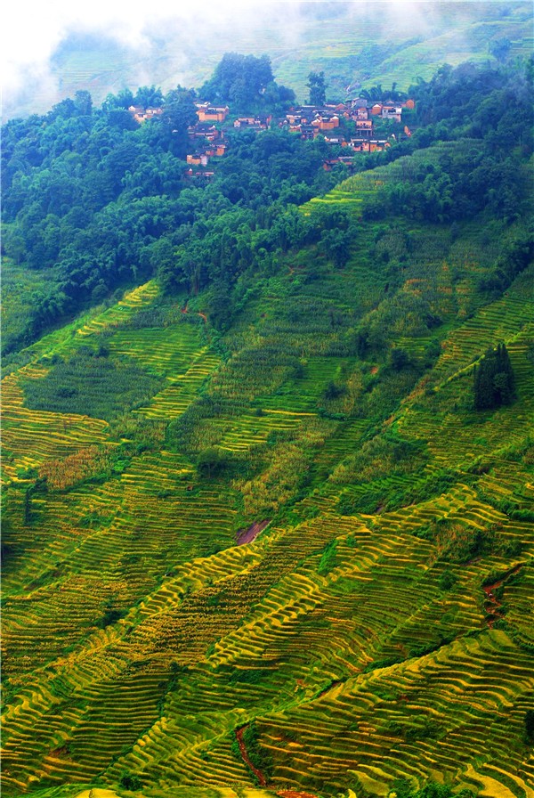 1478765254491034291.jpg Sights