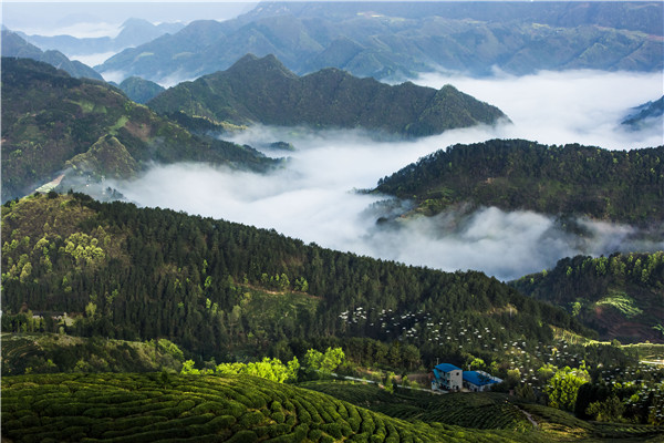 1478832883068059136.jpg Sights