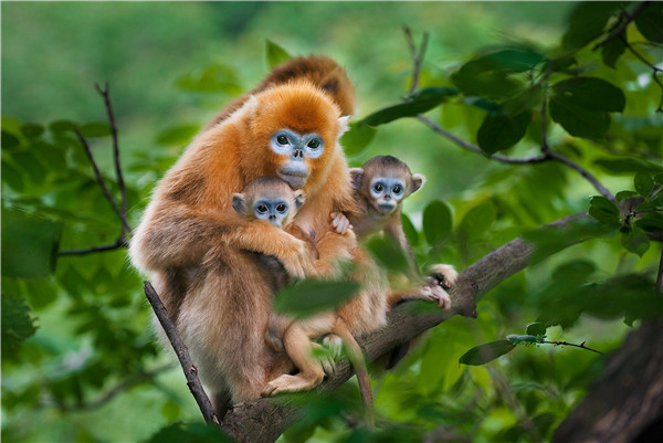 1478832883297077029.jpg Sights