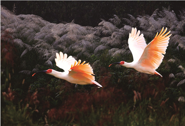 1478832883503009074.jpg Sights