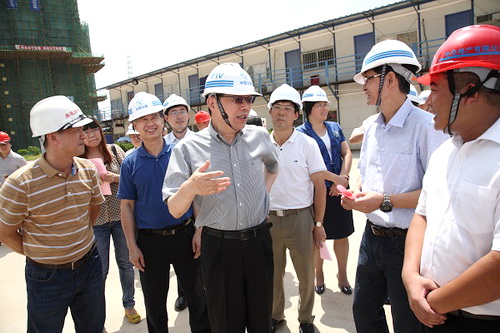 DRC head Li Wei conducts survey in Nanning