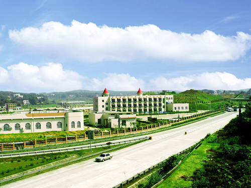 Survival Strategies of Different Townships