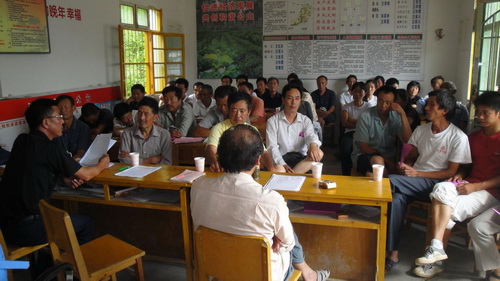 Grassroots Government: Institutional Conflict and Governance Crisis