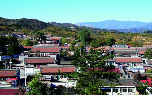 New Issues Relating to Village Governance