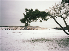天舒訪談:工程與藝術(shù)的選擇