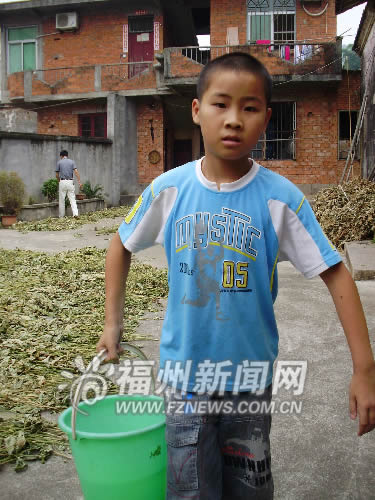 父親奶奶患病媽媽離家出走　11歲男孩撐起一個(gè)家