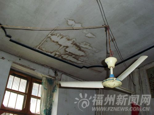 父親奶奶患病媽媽離家出走　11歲男孩撐起一個(gè)家