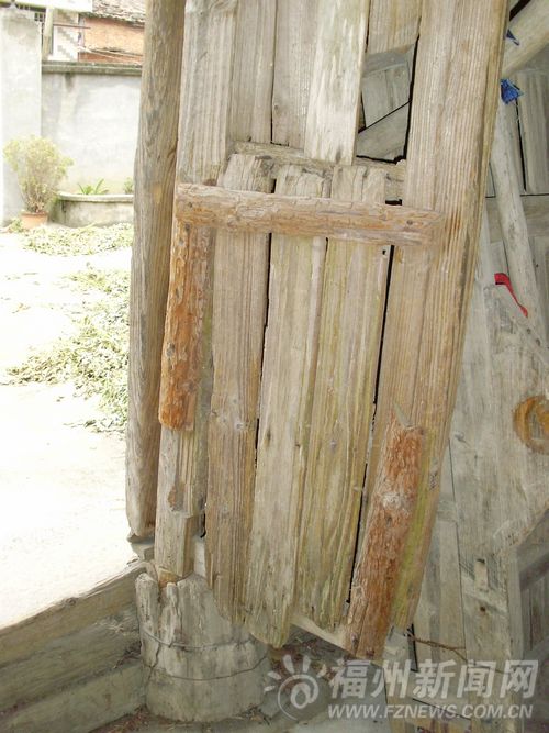 父親奶奶患病媽媽離家出走　11歲男孩撐起一個(gè)家