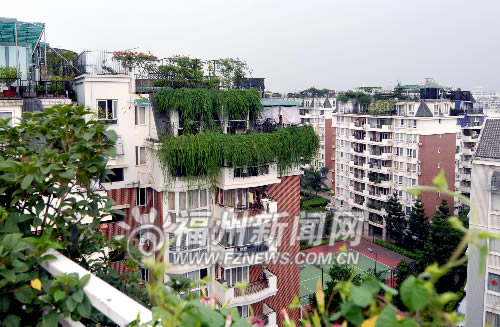 福州擬普及屋頂綠化　園林局正編制相關技術導則