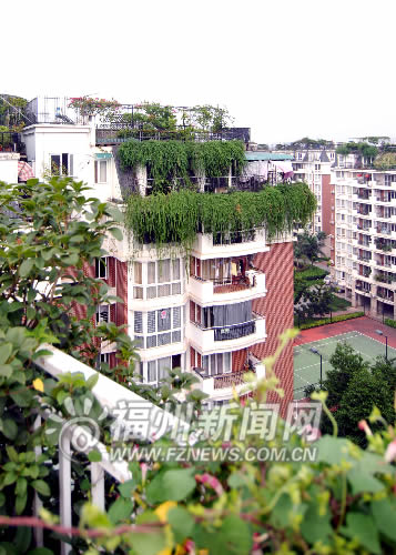 福州擬普及屋頂綠化　園林局正編制相關(guān)技術(shù)導(dǎo)則