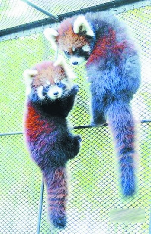 中山公園動物園免費開放　多是家長伴著孩子來玩