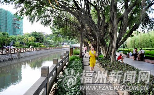 福州綠滿城環(huán)境質量持續(xù)良好　節(jié)能減排成效顯著