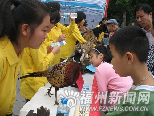 西湖公園昨展出野生動物標本　宣傳保護野生動物