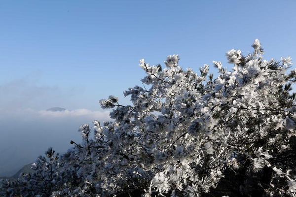 Rime scenery in Quanzhou