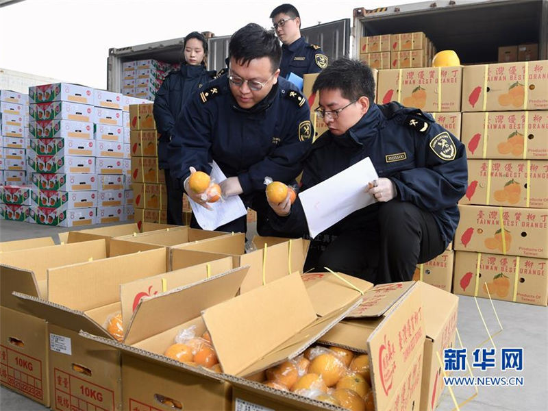 Direct sea freight route linking Kaohsiung and Pingtan launched