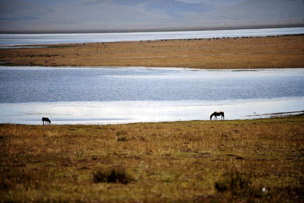 Gahai lake, the biggest freshwater lake in Northwest China’s Gansu province, Sept 13, 2012. Gahai Lake (Gannan Tibetan autonomous prefecture, Gansu province)