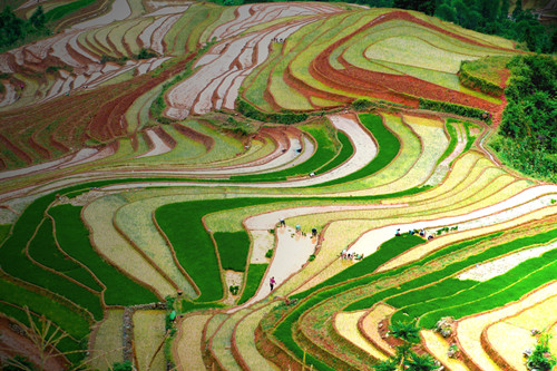 Bama Yao autonomous county