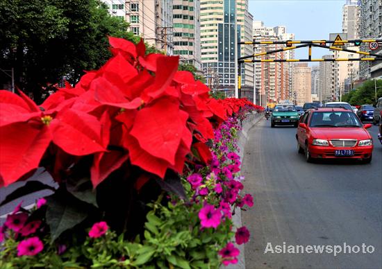 Guiyang road gets face-lifted for games Guiyang road gets face-lifted for games